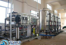 5t/h大型純水機 倍爾凈工程型生產線用純水設備，廠價直銷、專業咨詢一站式服務