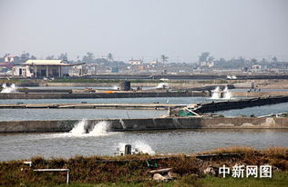 臺灣屏東縣朝清水產養殖集團漁場掠影 探尋現代水產養殖的卓越典范